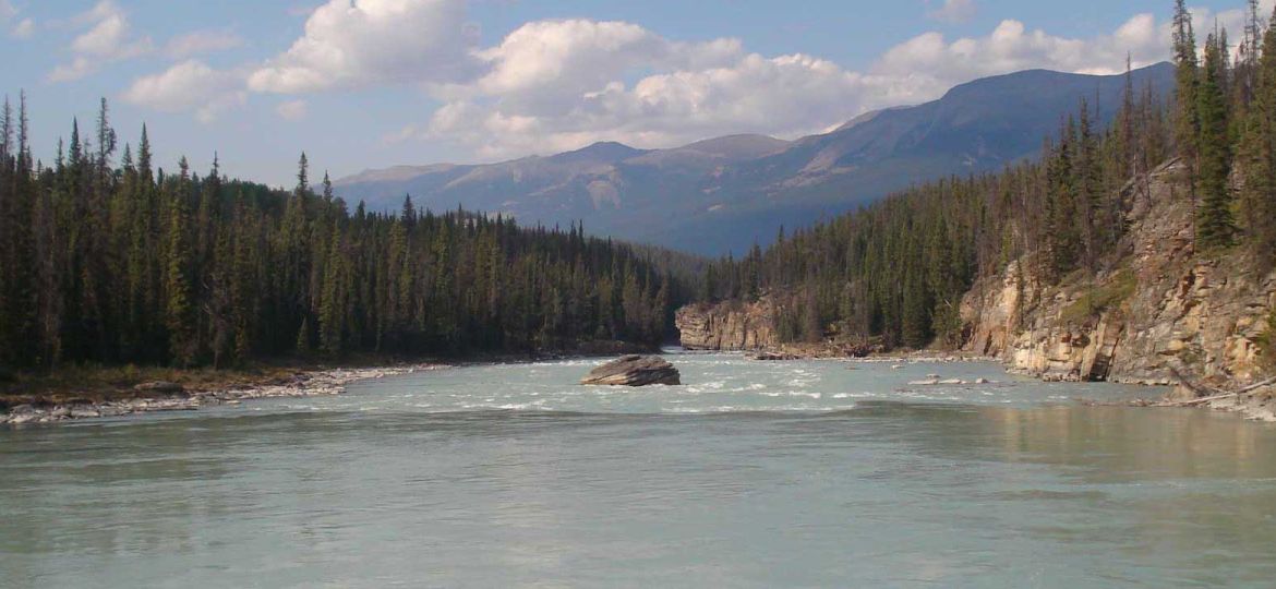 Subtitling services in Canada